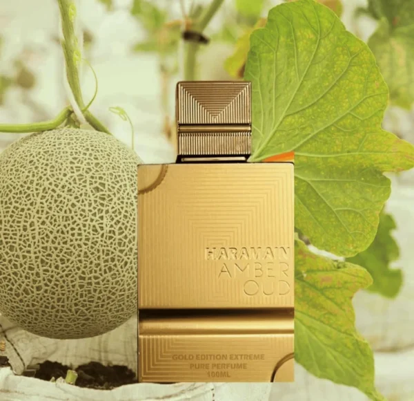 Złoty, prostokątny flakon perfum Haramain Amber Oud Gold Extreme, stojący na tle z zielonych liści i całego, teksturowanego melona.