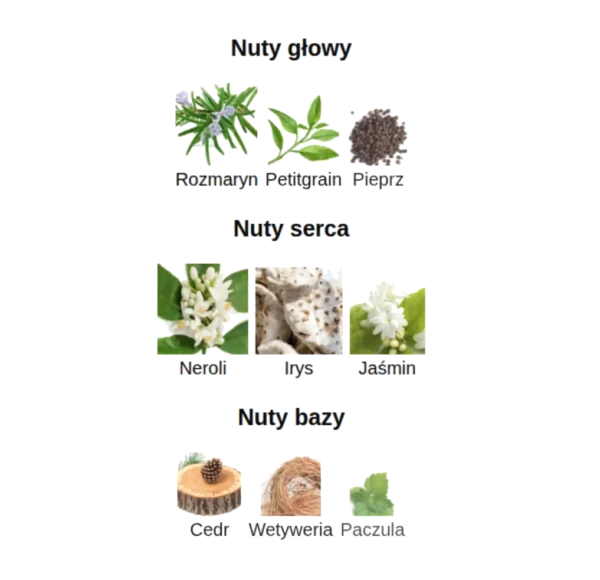 Infografika przedstawiająca nuty zapachowe perfum Khadlaj Shiyaaka Silver, z ilustracjami rozmarynu, petitgrain, pieprzu, neroli, irysa, jaśminu, cedru, wetywerii i paczuli, podzielone na nuty głowy, serca i bazy.